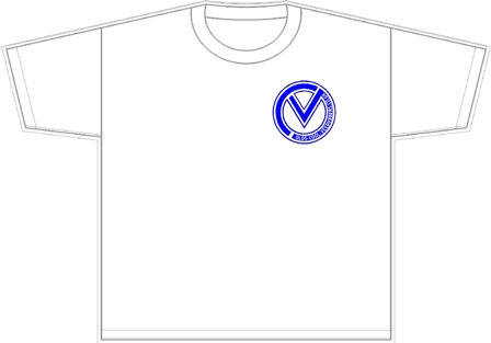 VDUB T-shirt with NEW logo front only